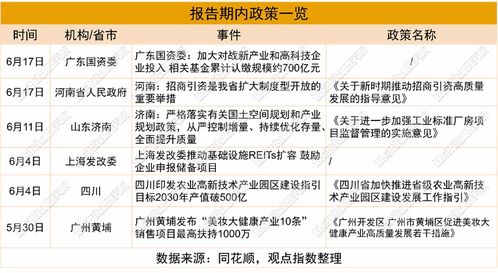 2025年6月產(chǎn)業(yè)園區(qū)暨基礎(chǔ)設(shè)施投資發(fā)展報告 項目投資與管理分析